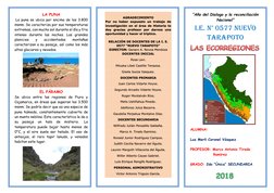 LA PUNA 
 La puna se ubica por encima de los 3.800 
msnm. Se caracteriza por sus temperaturas 
extremas, con mucho sol dura