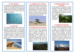 EL MAR TROPICAL 
Se encuentra en una pequeña porción de la 
costa norte, en los departamentos de Piura y 
Tumbes. Se caract