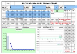 Process Capability Study Report | PDF | Statistics | Business Process