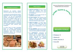 Elaboración 
de 
escobas, 
esteras, 
colchones, alfa