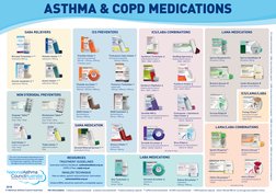 MSC1551 NAC Asthma COPD Medications Chart 2018 HR Internal | PDF ...