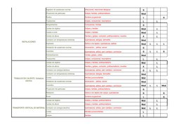 ACABADO
Ingestion de sustancias nocivas
Infecciones, reacciones alergicas
G
Proyección de partículas
Golpes, heridas, politra