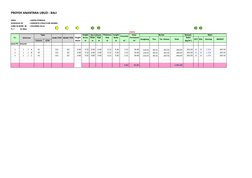 PROYEK ANANTARA UBUD - BALI
AREA 
: LANTAI PONDASI
SCHEDULE OF            : CONCRETE STRUCTURE WORKS
CONC & REINF. IN
: COLUM