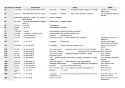 Tay Yang Pie
Nombre
Localización
Efecto
Notas
V1
V2
V3
V4
V5
V6
V7
V8
V9
V10
V11
V12
V13
V14
V15
V16
V17
V18
V19
V20
V21
V22