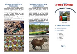 RECURSOS NATURALES DE LA 
REGIÓN ANDINA 
Son los más importantes de la región 
andina su importancia se pone de manifiesto si