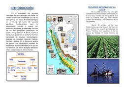 INTRODUCCIÓN 
 
En la actualidad, 
los recursos 
naturales del país alcanzan casi todos los 
niveles: el Perú es considerado