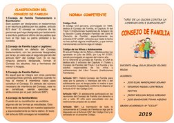 1.Consejo de Familia Testamentario o 
Escriturario: 
Solo pueden ser designados en testamentos 
o en escritura pública po