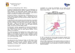 Municipalidad Provincial de Puno 
Plan de Desarrollo Urbano 
2008-2012 
 
Equipo Técnico PlanPuno 2008 – 2012  
144 
2.5.3. P