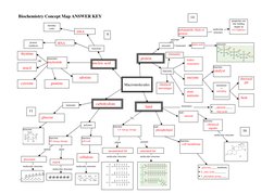 Biochemistry Concept Map ANSWER KEY   
 
 
Macromolecules 
nucleic acid 
carbohydrate 
fats 
polypeptide chain or 
protein 
a