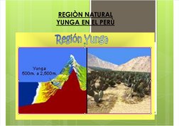 7/17/2019
Geograﬁa. Region - Yunga
http://slidepdf.com/reader/full/geograﬁa-region-yunga
1/18
 
REGIÒN NATURAL
YUNGA EN EL PE
