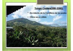 7/17/2019
Geograﬁa. Region - Yunga
http://slidepdf.com/reader/full/geograﬁa-region-yunga
3/18
 
Yunga Costera(500-2300)
Occi