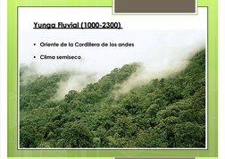 7/17/2019
Geograﬁa. Region - Yunga
http://slidepdf.com/reader/full/geograﬁa-region-yunga
7/18
Yunga Fluvial (1000-2300)
Orie