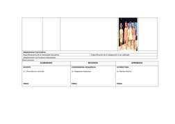 Adaptaciones Curriculares 
Especificaciones de la necesidad educativa 
Especificación de la adaptación a ser aplicada 
Adapta