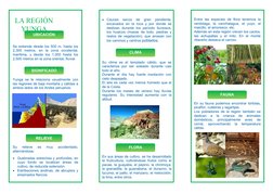 UBICACIÓN
LA REGIÓN
YUNGA
Entre las especies  de flora  tenemos la
verdolaga,  la  canchalagua,  el  yuyo,  el
maicillo, el a