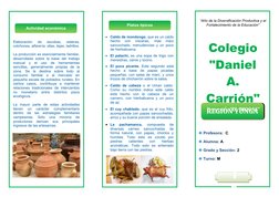 Platos típicos
Elaboración  de  escobas,  esteras,
colchones, alfarería: ollas, tejas, ladrillos.
La producción es esencial