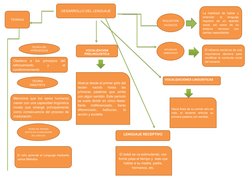 El refuerzo social es de una
importancia  decisiva  para
modificar la conducta vocal
del lactante
La habilidad  de  hablar  y