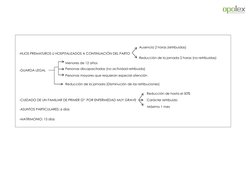 -HIJOS PREMATUROS U HOSPITALIZADOS A CONTINUACIÓN DEL PARTO 
Ausencia 2 horas (retribuida