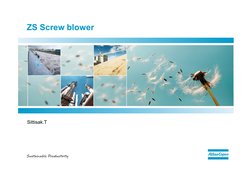 ZS Low Pressure Screw Blower Overview | PDF | Bearing (Mechanical) | Pump