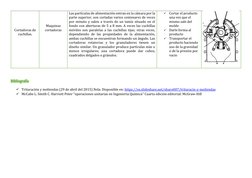 Cortadoras de 
cuchillas. 
 
 
 
 
Maquinas 
cortadoras  
Las partículas de alimentación entran en la cámara por la