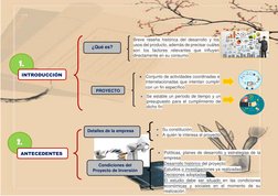 • Conjunto de actividades coordinadas e 
interrelacionadas que intentan cumplir 
con un fin específico 
• Se estable un perío