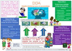 Principios y Pautas del DUA | PDF | Aprendizaje | Neurociencia