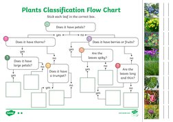 yes
no
Plants Classification Flow Chart
Does it have petals?
?
Stick each leaf in the correct box.
Does it have thorns?
Does