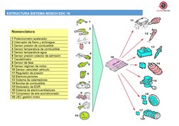 4
ESTRUCTURA SISTEMA BOSCH EDC 16
