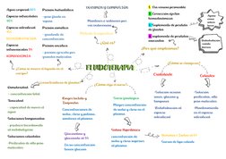 FLUIDOTERAPIA 
Método terapéutico 
 
Mantener o restaurar por 
vía endovenosa  
VOLUMEN Y COMPOSIÓN  
1.  Vía venosa permeabl
