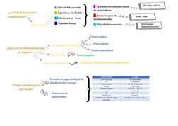 1.  Estado del paciente  
2. Equilibrio electrolito 
3. Estado acido - base   
4. Función Renal  
Al paciente: 
 
1.  Restaur
