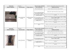 Pavimento:
1º Sub solo 
Nome do espaço confinado:
Caixa 01 e Caixa 02 (Reservátório de água potável)
Relatório fotográfico: