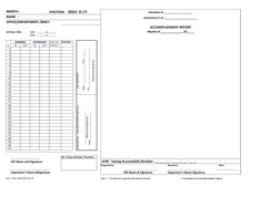 DOLE GIP Accomplishment Report Form | PDF