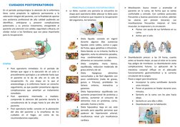 CUIDADOS POSTOPERATORIOS
En el periodo postquirúrgico la atención de la enfermera
tiene  como  propósito  la  vigilancia  per