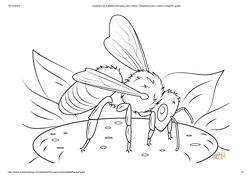 19/12/2018
Desenho de Aabelha-europeia para colorir | Desenhos para colorir e imprimir gratis
http://www.supercoloring.com/pt