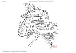 19/12/2018
Desenho de Ave Cigana para colorir | Desenhos para colorir e imprimir gratis
http://www.supercoloring.com/pt/desen