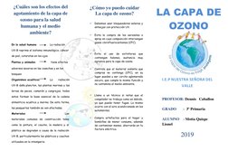 LA CAPA DE 
OZONO 
¿Cuáles son los efectos del 
agotamiento de la capa de 
ozono para la salud 
humana y el medio 
ambiente?