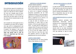 En las distintas capas de la atmósfera se 
encuentra una capa cuya concentración de 
ozono es la más alta en todo el plan