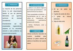 La  mayoría  de  las  personas
tienen  la  piel  desprotegida
debido  al  uso  de  jabones
fabricados
 
con
 
agentes
químico