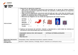 5
© 2019 Laureate International Universities®|Confidential & 
Instrucciones
1. Responda las siguientes preguntas:
•
¿Qué nive