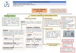 Mapa Conceptual de Atención Primaria en Salud | PDF | Cuidado de la salud