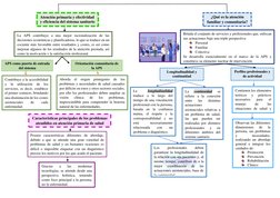 Mapa Conceptual de Atención Primaria en Salud | PDF | Cuidado de la salud