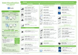 Graphical Primitives
Data Visualization
with ggplot2
Cheat Sheet
RStudio® is a trademark of RStudio, Inc. • CC BY RStu