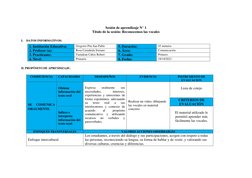 Sesión de Aprendizaje: Vocales en 1° grado | PDF | Evaluación | Aprendizaje
