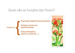 Morfologia das Flores e Estruturas Florais | PDF | Flores | Polinização