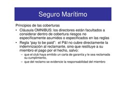 Seguro Marítimo
Principios de las coberturas
• Cláusula OMNIBUS: los directores están facultados a 
considerar dentro de cobe