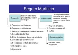 Seguro Marítimo
Protección
Indemnización
Las derivados de la 
propiedad o posesión
del buque 
Las responsabilidades
derivadas