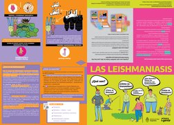 Forma visceral
Lámina 1
CICLO DE TRANSMISIÓN URBANO
El ﬂebótomo incorpora el parásito al picar a un perro infectado y se 
lo