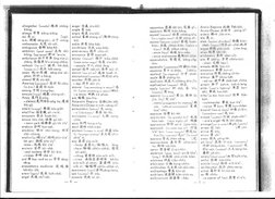 Hokkien-English Dictionary Guide | PDF | Adjective | Chinese Language
