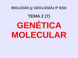  
 
BIOLOGÍA (y GEOLOGÍA) 4º ESO
TEMA 2 (7)
GENÉTICA 
MOLECULAR
