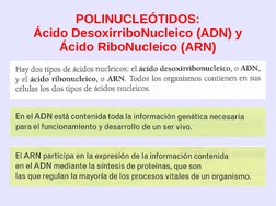 
 
POLINUCLEÓTIDOS:
Ácido DesoxirriboNucleico (ADN) y
Ácido RiboNucleico (ARN)
