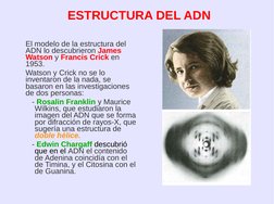 ESTRUCTURA DEL ADN
El modelo de la estructura del 
ADN lo descubrieron James 
Watson y Francis Crick en 
1953.
Watson y C
